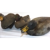 Image 3 : 8 Duck Decoys