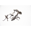 Image 6 : Over 150 Small Spring Bolts Screws And Pins For Firearms