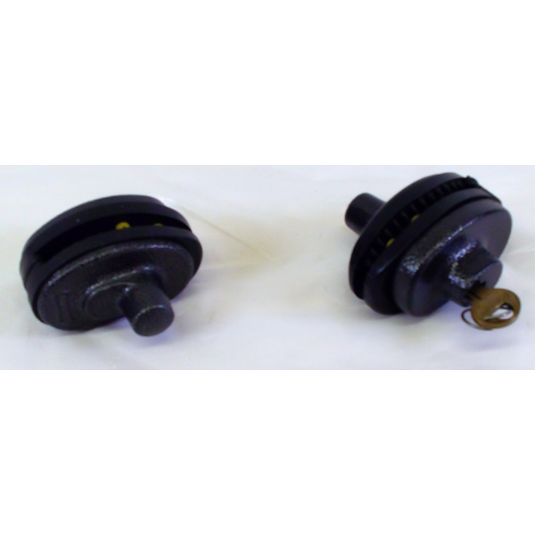 2 Trigger Locks 1 With a Key 1 Without a Key 