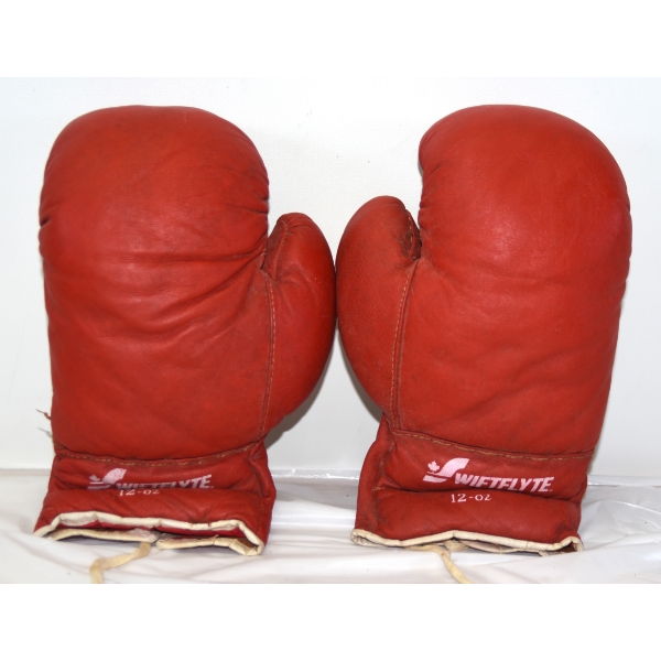 1 Pair Wiftflyte 12oz Boxing Gloves 