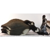 Image 3 : 12 Goose Decoys