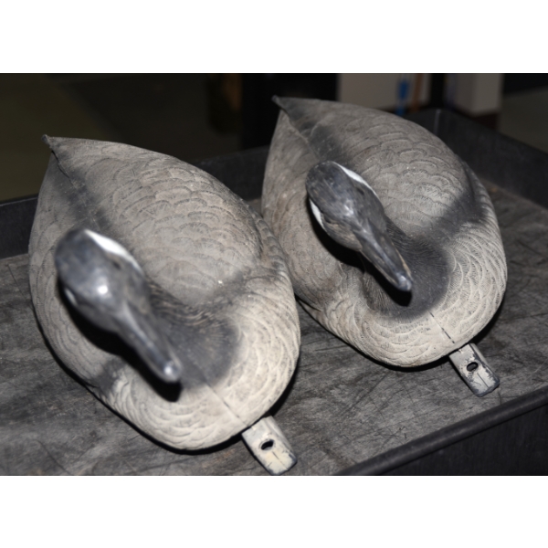 2 Canada Geese Floating Decoys