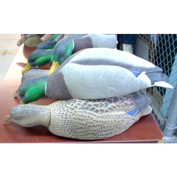 Avery Green Head Gear 34 Mallard Decoy Shells w/ Carry Bag