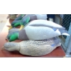 Image 1 : Avery Green Head Gear 34 Mallard Decoy Shells w/ Carry Bag