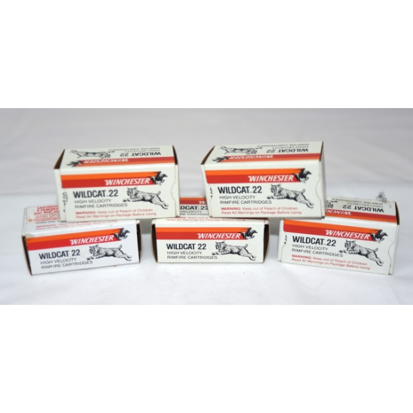 250 Rounds Winchester Wildcat .22 LR Caliber Ammunition