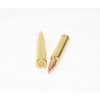 Image 3 : 20 Rounds PMC Bronze .223 Remington 55 Grain FMJ-BT Ammunition