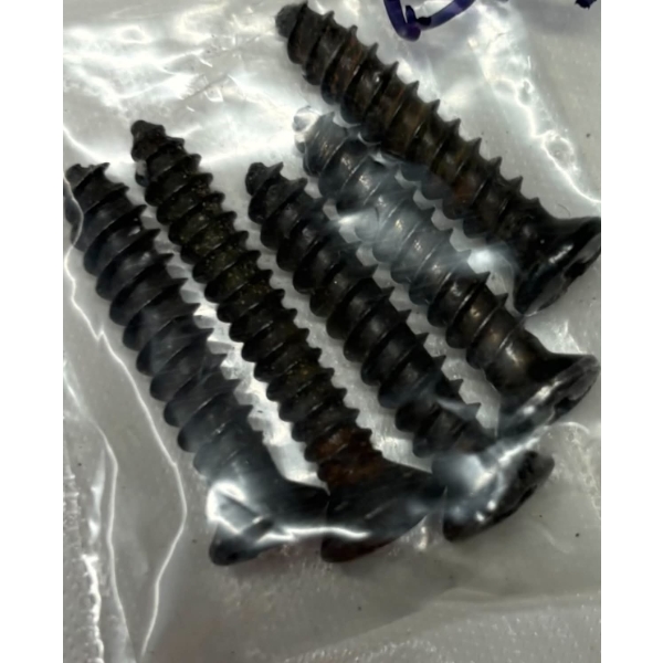 5 Winchester Butt Plate Screws 