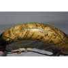 Image 15 : Rare 1775 Scrimshaw British Powder Horn with Map Decoration & Brass Spout