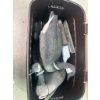 Image 2 : 4 Water Geese Decoys 