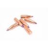 Image 3 : 95 Pieces Nosler Varmint 6mm 70 Grain Ballistic Tip Bullets