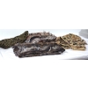 Image 2 : 4 Camo Nets