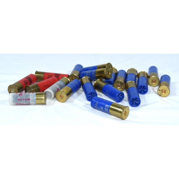 19 Rounds Mixed 12 Gauge Ammunition 