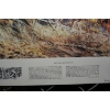 Image 5 : 3 1980s Remington Ltd Edition Frameable Prints