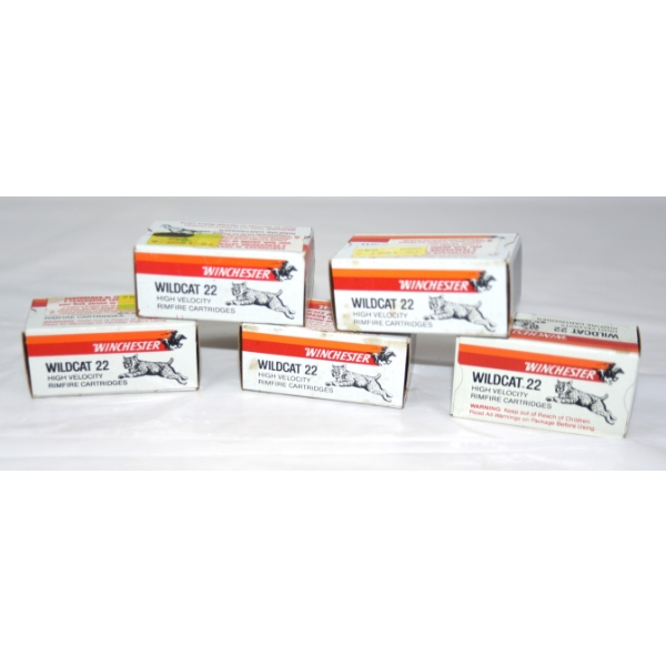250 Rounds Winchester Wildcat .22 LR Caliber Ammunition