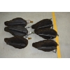 Image 4 : 6 Black Ducks Flocked AxianX W/ Cabela's Northern Flight Bag
