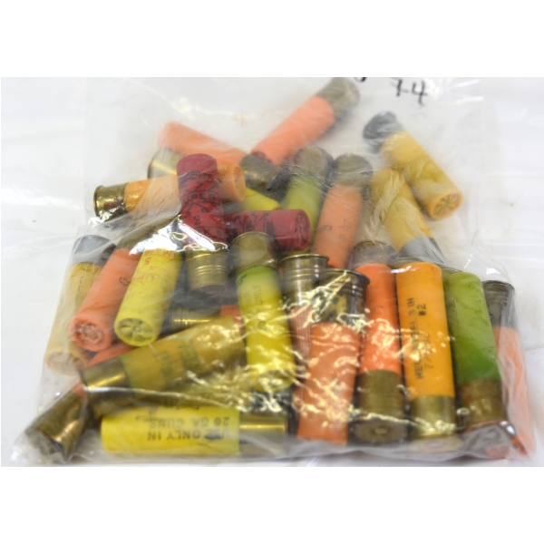 18 Rounds 20ga 3" & 11 Rounds 20ga 2 3/4 1oz Ammunition