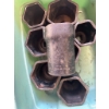 Image 1 : Lot of 8 Large Heavy Duty 6-Point Sockets