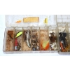 Image 3 : 2 Small Containers Mixed Lures