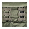 Image 2 : Tasmanian Tiger Plate Carrier MKIV olive S/m TT-7155-311.1