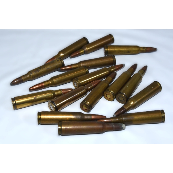 15 Rounds of 250 Savage Ammunition