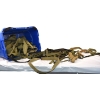 Image 6 : Box Lot Belts 