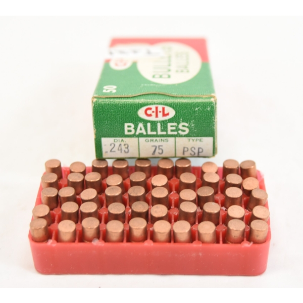 50 Pieces CIL .243 75gr PSP Bullets