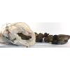 Image 2 : 8 Duck Decoys