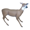 Image 1 : Deer Decoy