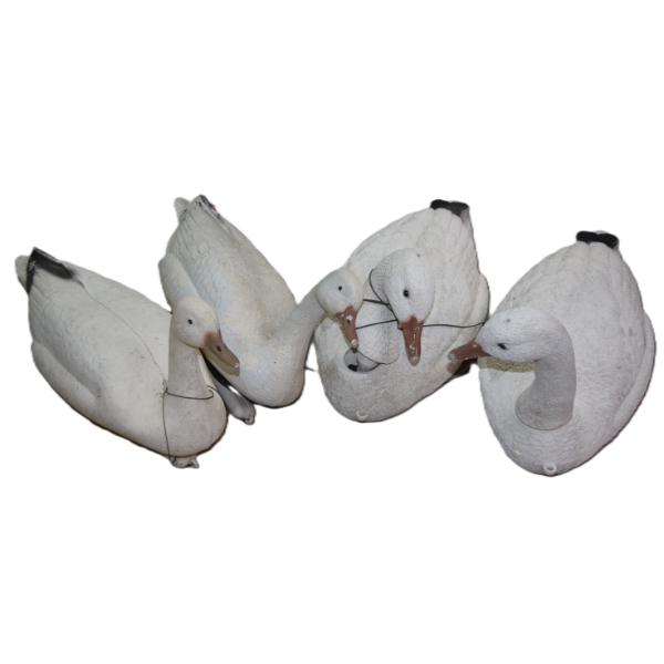 Box Lot Snow Goose Decoys