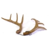 Image 4 : Decorative Faux Deer Antler Shed Display Set