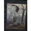 Image 2 : Box Lot Animal Pictures