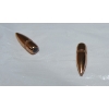 Image 3 : 3.56kg Bullets 