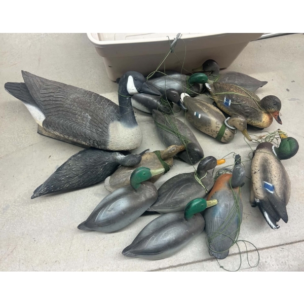Box Lot Decoys 