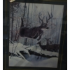 Image 3 : Box Lot Animal Pictures