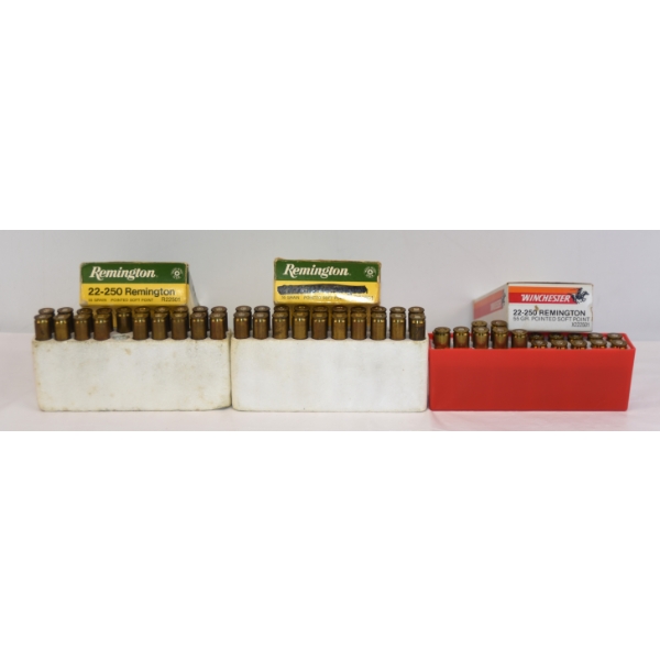 Mixed 22-250 Brass & Ammunition