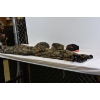 Image 3 : Camo Bib XL And 3 Hats 
