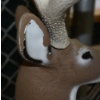 Image 3 : Glendel Buck 3D Target
