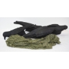 Image 1 : 4 Hard Crow Decoys W/ Flambeau Mesh Bag