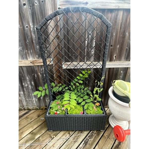 Black Wicker Planter Set