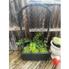 Image 1 : Black Wicker Planter Set 
