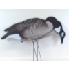 Image 4 : 60 Dive Bomb Canadian Goose Silhouette's With Case