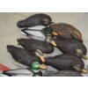 Image 3 : 12 Plastic Duck Decoys W/ Weights