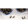 Image 2 : 400 Pieces Winchester 38 Special  Nickle Shot Brass 