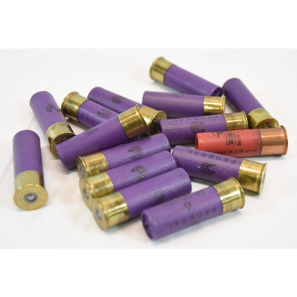 16 Rounds Assorted Brands 16 Gauge Ammunition