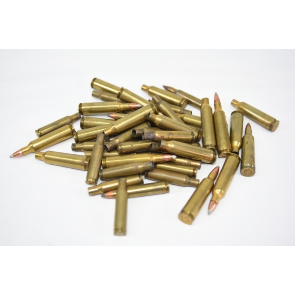 Box Lot Assorted Brands & Caliber Ammunition & Shot Brass