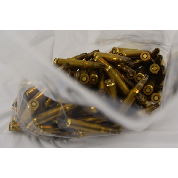 100 Rounds Assorted Brands .308 Win Blank Ammunition