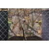 Image 3 : Camo Pants & Coveralls