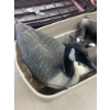 Image 3 : 6 Geese Decoys