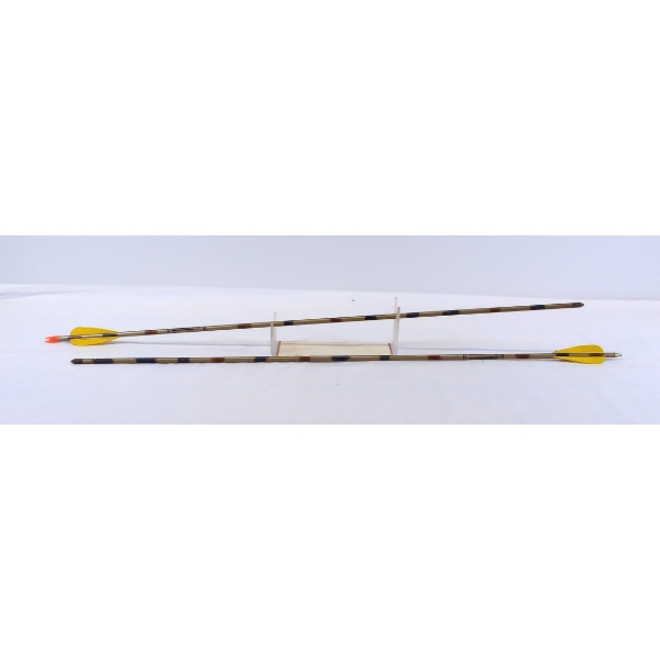 2 XX75 Easton Gamegetters 1860 Spine