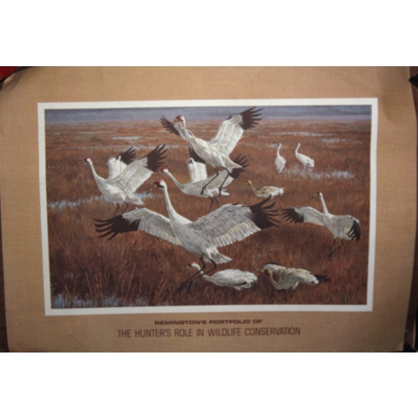 3 1980s Remington Ltd Edition Frameable Prints